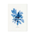 A framed watercolour print of blue seaweed on a white background, with the label 'Dulse' at the bottom.