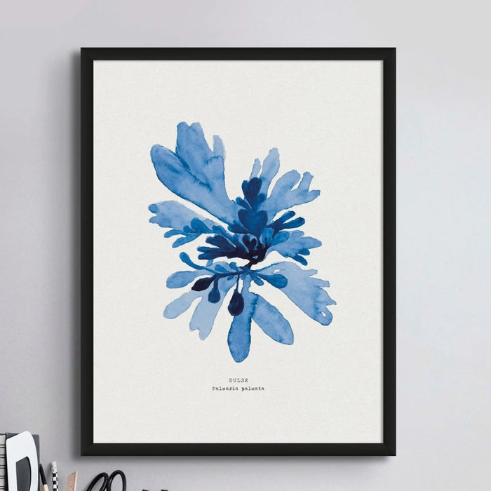Framed blue seaweed picture on wall above desk.