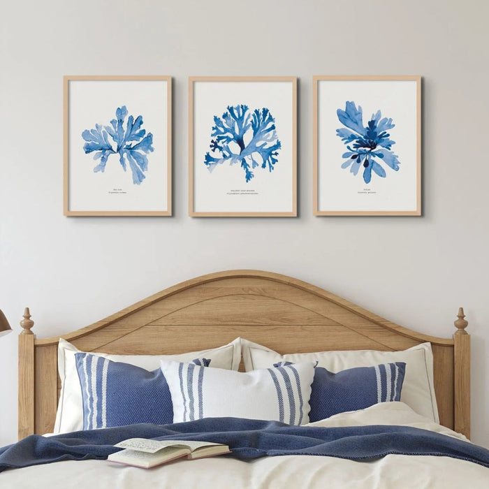 Set of three seaweed paintings in a coastal bedroom above a wooden bed.