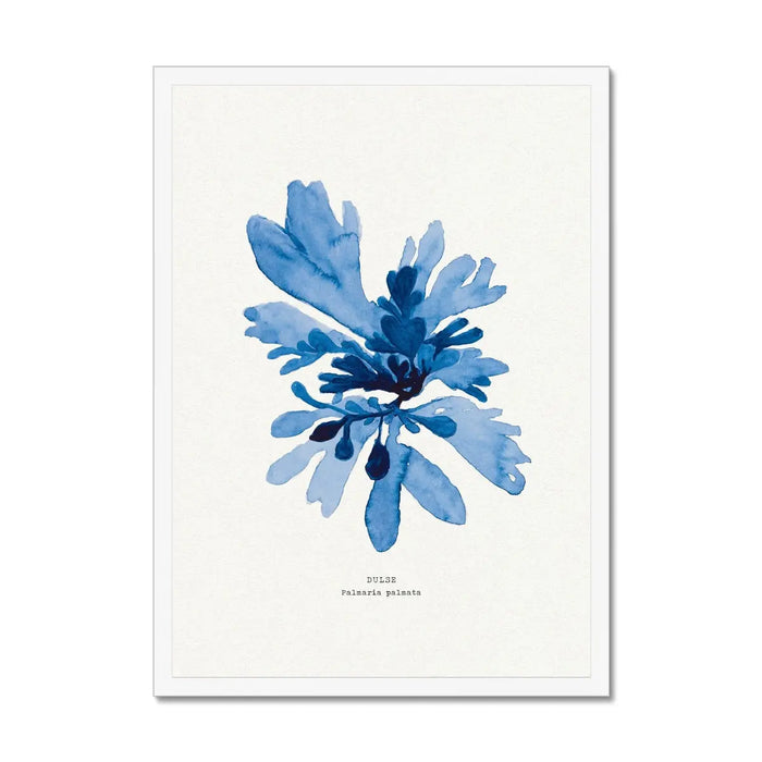 A framed blue watercolour painting of seaweed with a white frame, placed against a white background.