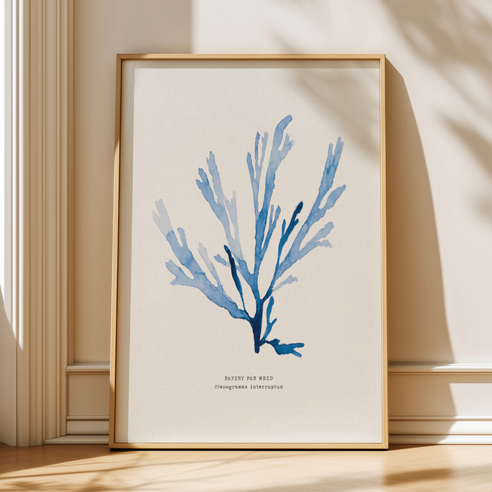 Seaweed art print - Framed artwork of a blue seaweed painting.