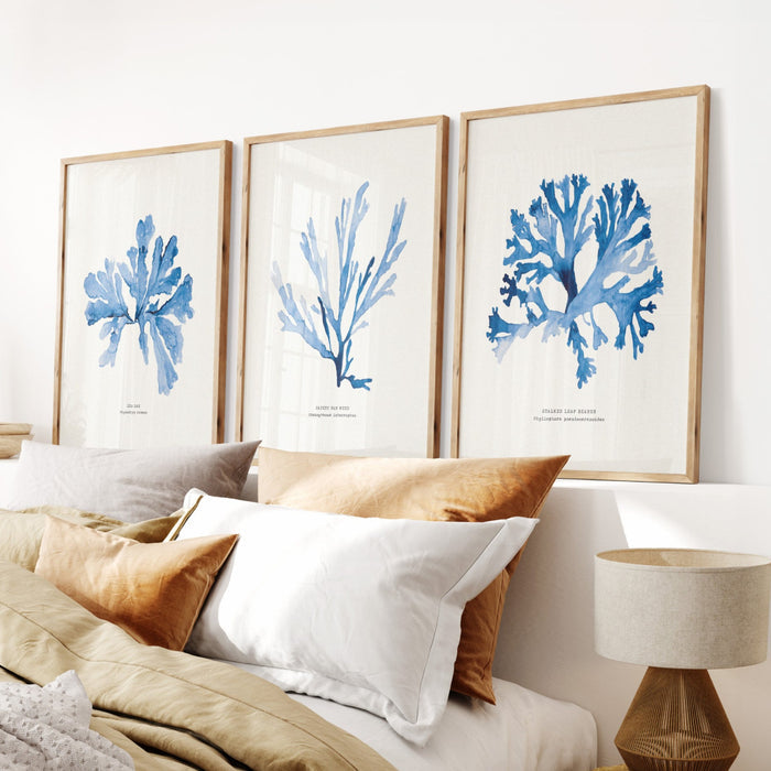 Indigo Seaweed Art Print | Papery Fan Weed | Botanical Wall Art - Unframed