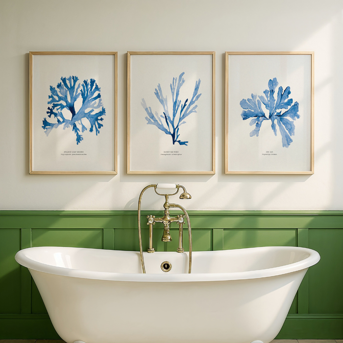 Indigo Seaweed Art Print | Papery Fan Weed | Botanical Wall Art - Unframed