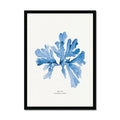 Indigo Seaweed Print Wall Art (Sea Oak) - Framed - Beach House Art
