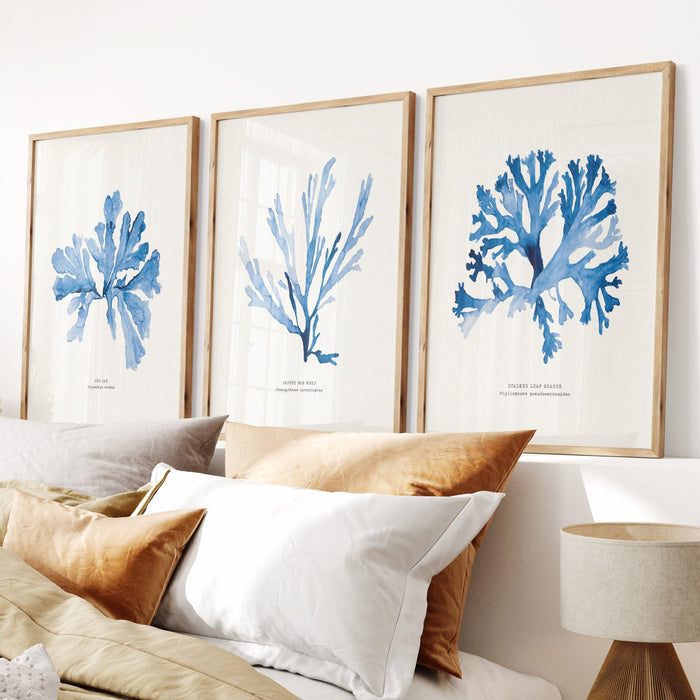 Indigo Seaweed Art Print | Sea Oak | Botanical Wall Art - Unframed