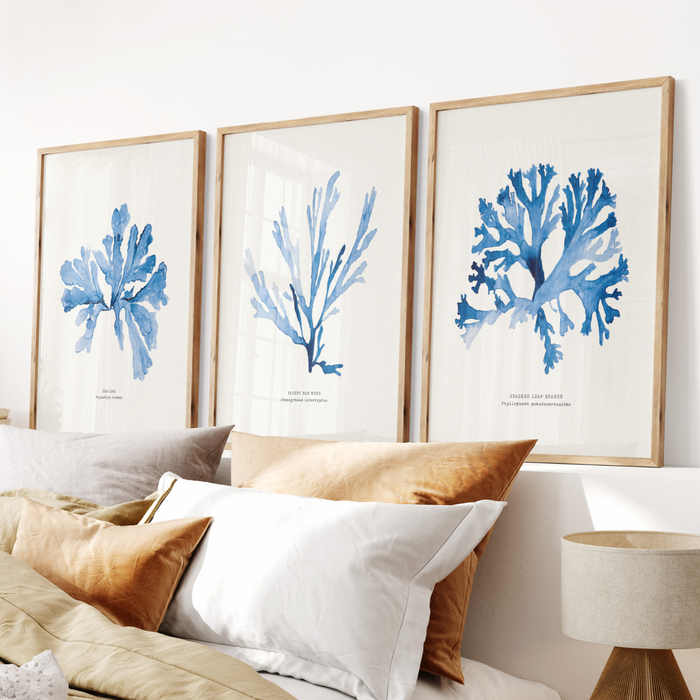 Set of 3 Indigo Seaweed Paintings - Framed Beach House Art - seaweed prints