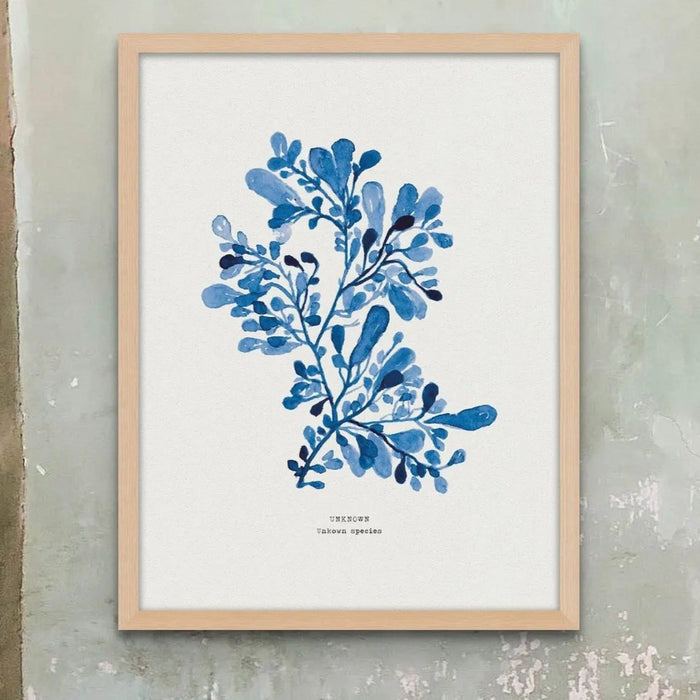 Framed blue seaweed wall art in natural wood frame, indigo watercolour coastal botanical print.