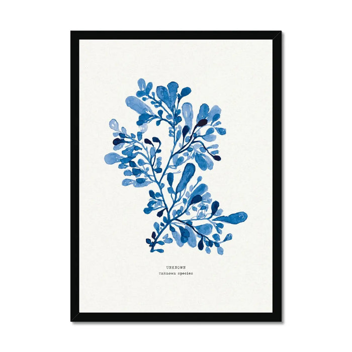 Framed blue seaweed wall art in a natural wood frame, with an indigo blue watercolour coastal botanical print.