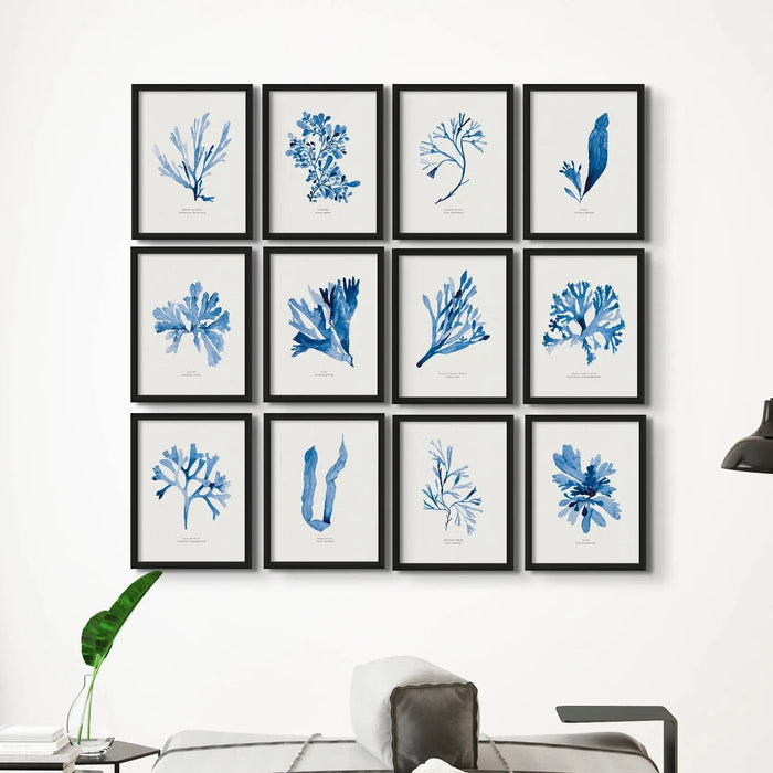 Beach-inspired wall art featuring a framed watercolour print of indigo seaweed wall art