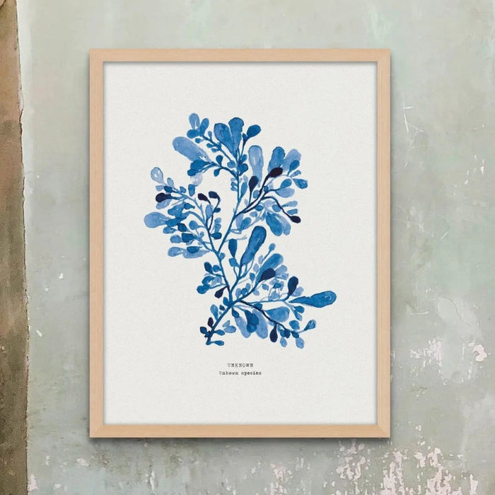 Framed blue seaweed wall art in natural wood frame, indigo watercolour coastal botanical print.