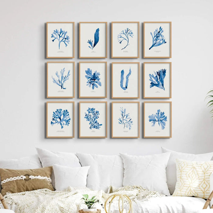 Indigo Seaweed Print Wall Art (Unknown species) - Unframed wall art