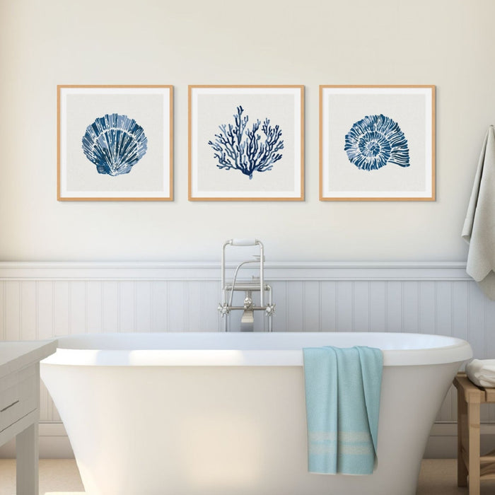 set of three coral and shell art prints in bathroom - three indigo coastal art prints on the wall above a roll top bath