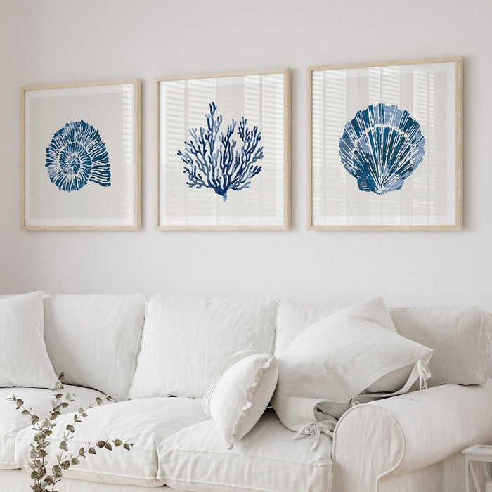 A set of three shell and coral art prints on wall in living room with a coastal feel.