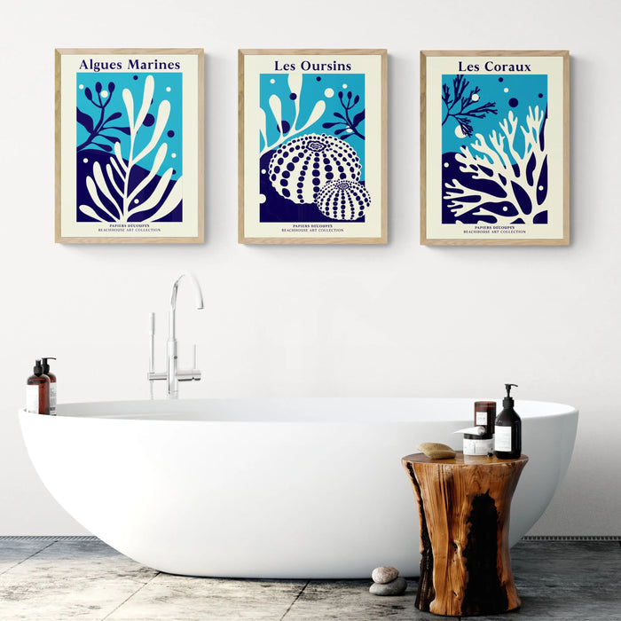 Set of three botanical art prints in bathroom. Blue coastal art prints in the bathroom.