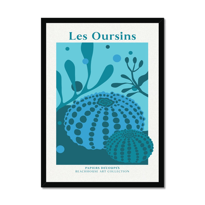 Framed artwork of sea urchins and underwater plants with 'Les Oursins' text.