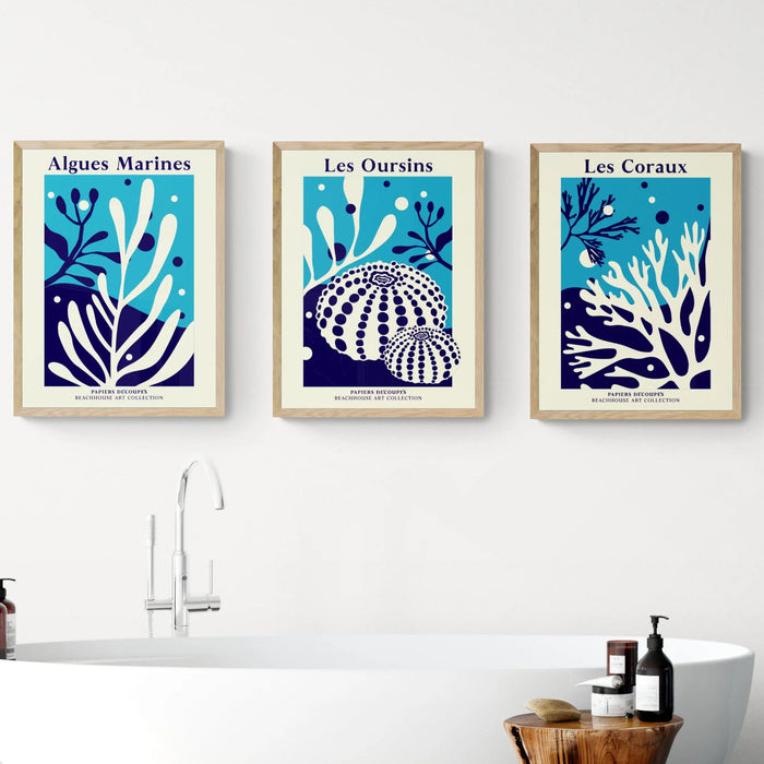 Les Oursins - Graphic Wall Art - Unframed - Beach House Art
