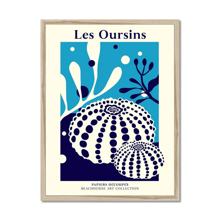 Framed graphic wall art featuring abstract marine life, with the title 'Les Oursins' at the top.