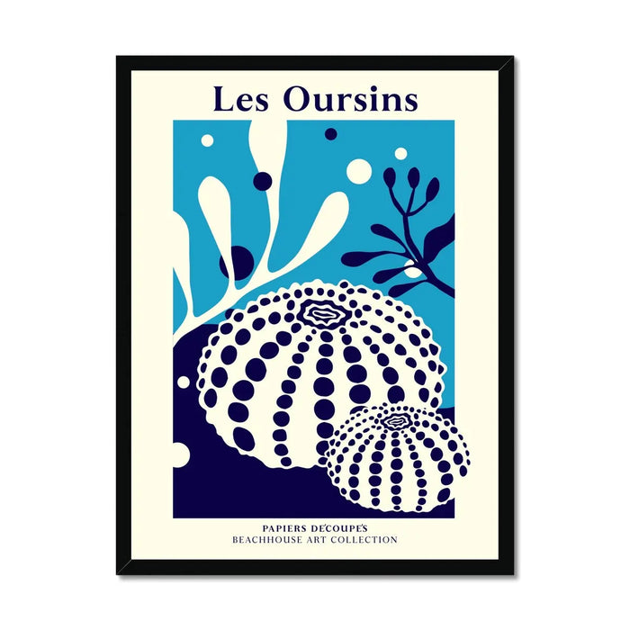 Les Oursins - Graphic Wall Art - Framed - Beach House Art