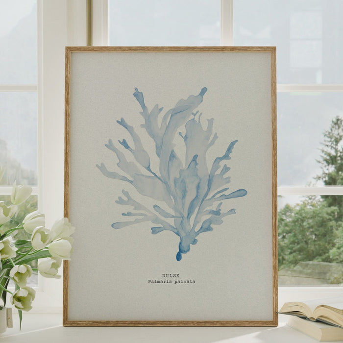 A framed print of light blue watercolour painting of seaweed on a white background, on shelf in living room.