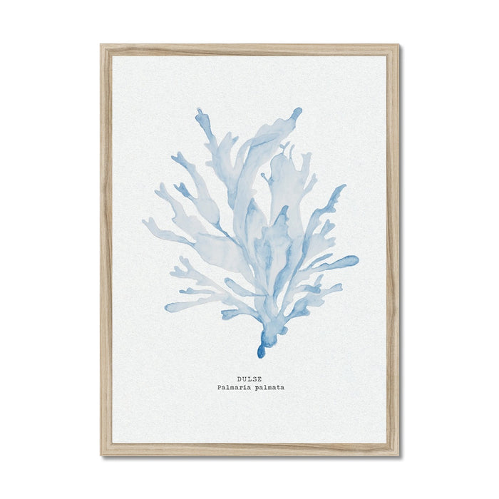 A framed blue watercolour painting of seaweed with a light wood frame, displayed against a white background.