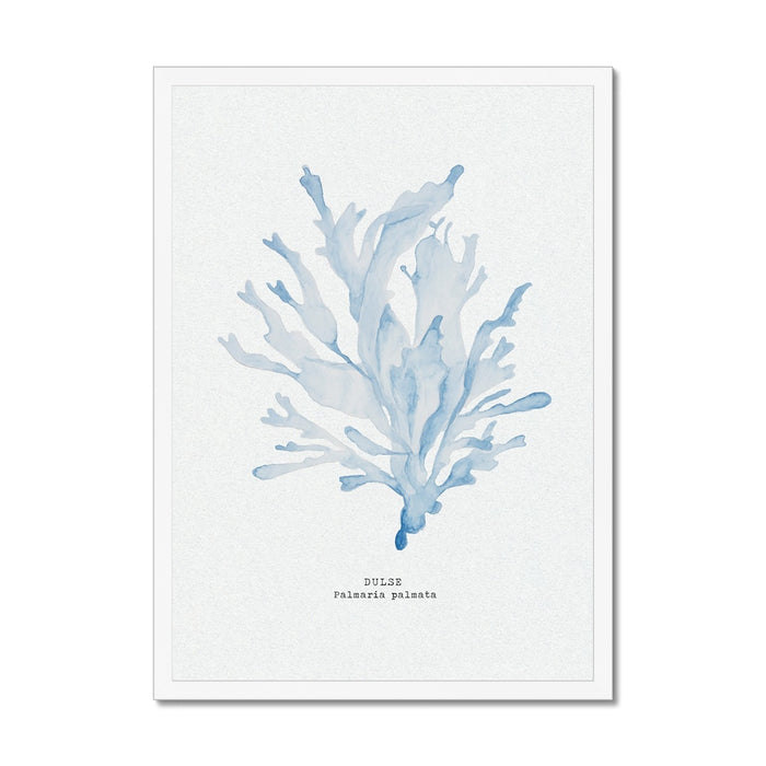 A framed blue watercolour painting of seaweed with a white frame, displayed against a white background.