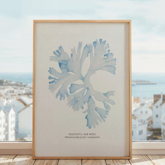 Framed watercolour seaweed painting on window sill.