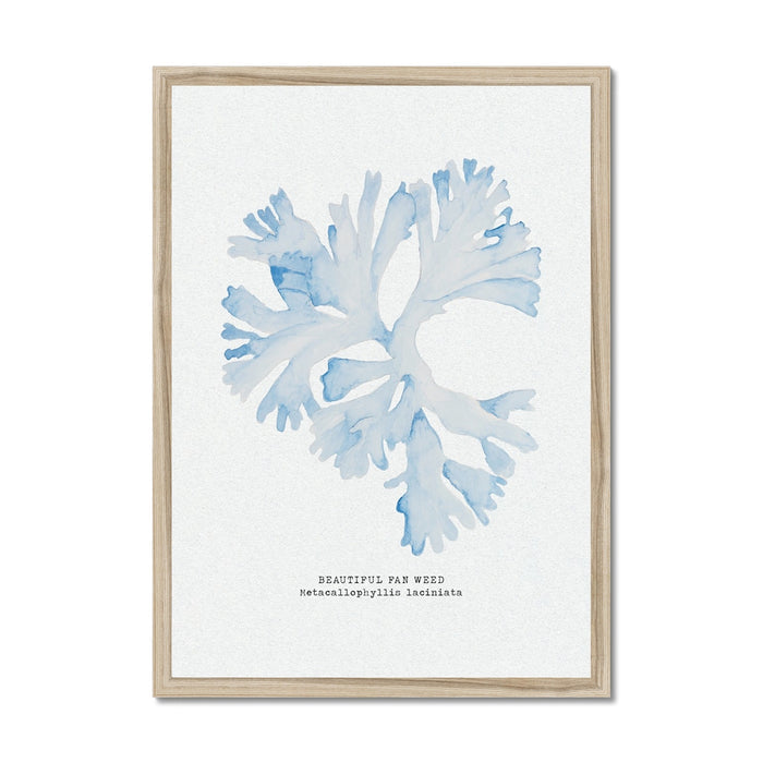 A framed blue watercolour painting of seaweed with a simple, elegant design, set in a light wooden frame.