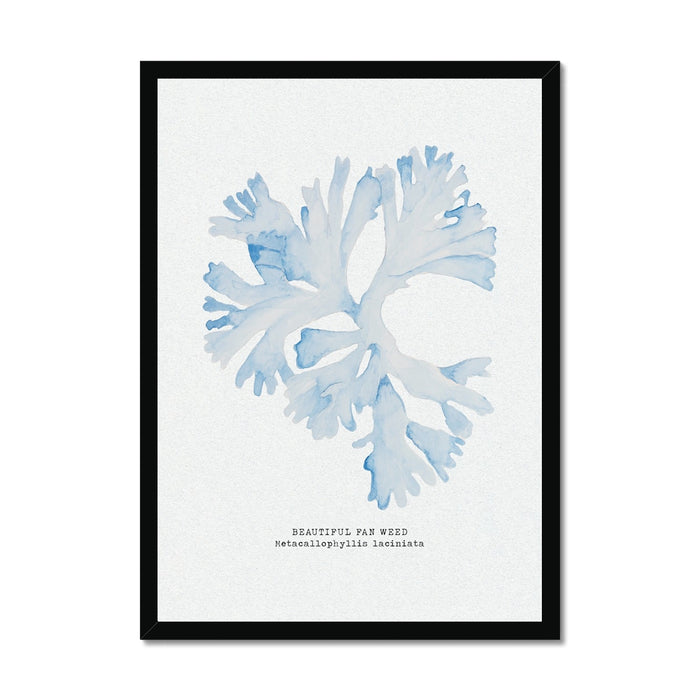 A framed blue seaweed art print with a simple, elegant design, set in a black frame.