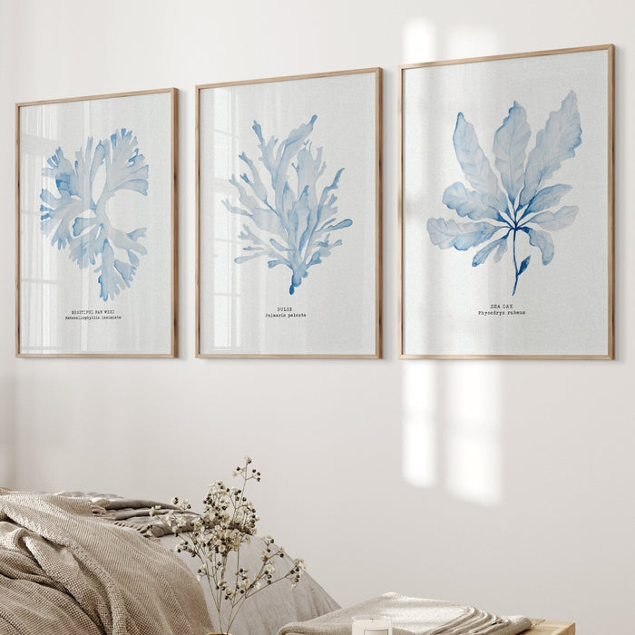 A set of 3 seaweed paintings in wall in coastal bedroom.