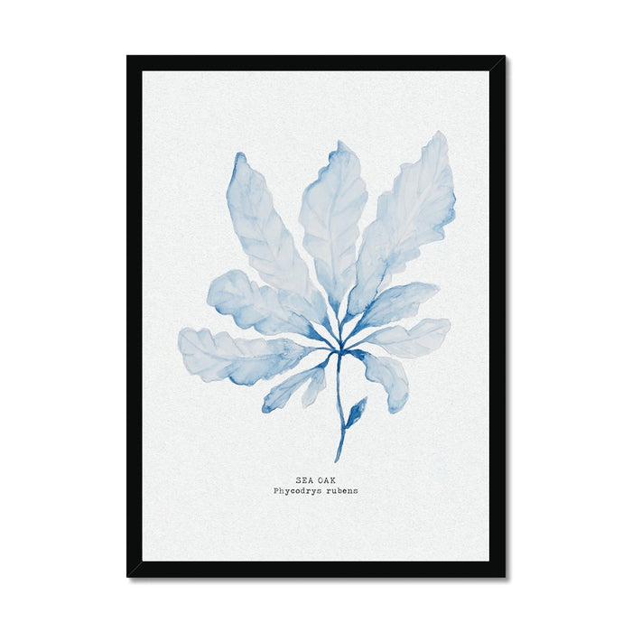 Framed seaweed painting in black frame.
