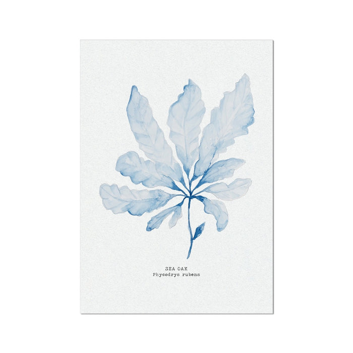 A framed art print featuring a blue watercolor painting of seaweed with a white background, labeled 'Sea Oak' at the bottom.