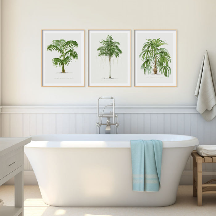 Set of 3 palm tree prints in bathroom above roll top bath, vintage botanical wall art in green tones, framed
