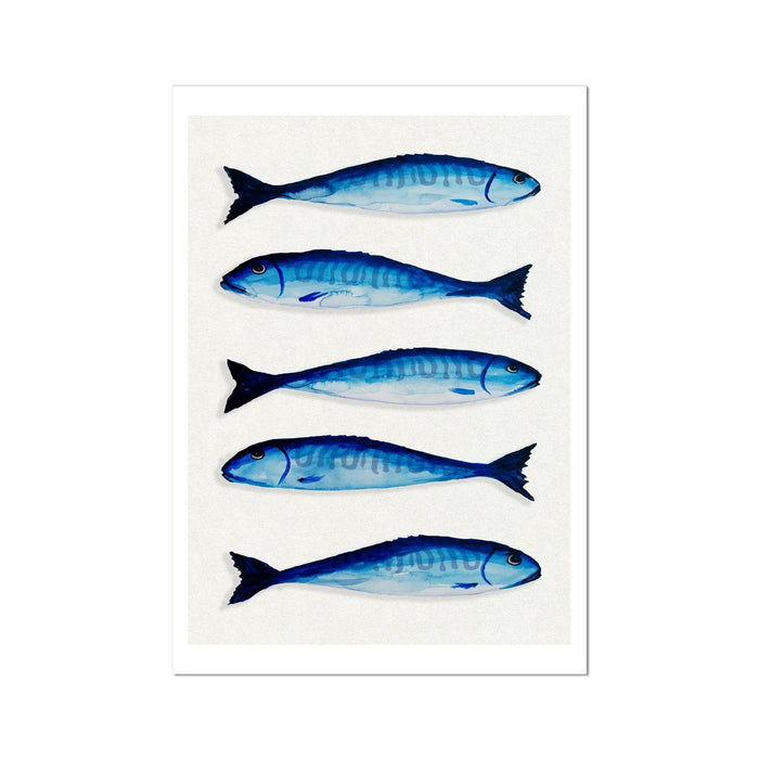 Mackerel Fish Painting | Kitchen  Wall Art Print  - Unframed