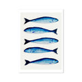 Mackerel Fish Painting | Kitchen  Wall Art Print  - Unframed