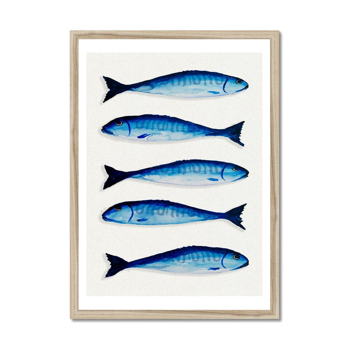 Mackerel Fish Painting | Kitchen  Wall Art Print  - Unframed