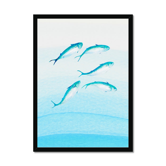 Mackerel Shoal 2 | Fish Wall Art Print - Framed