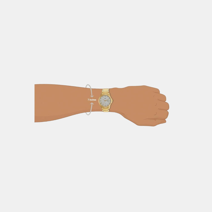 Timex Stainless Steel Round watch
