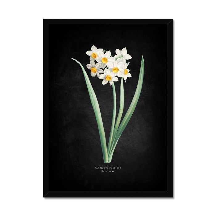 Framed botanical print of white flowers with green leaves on a dark background