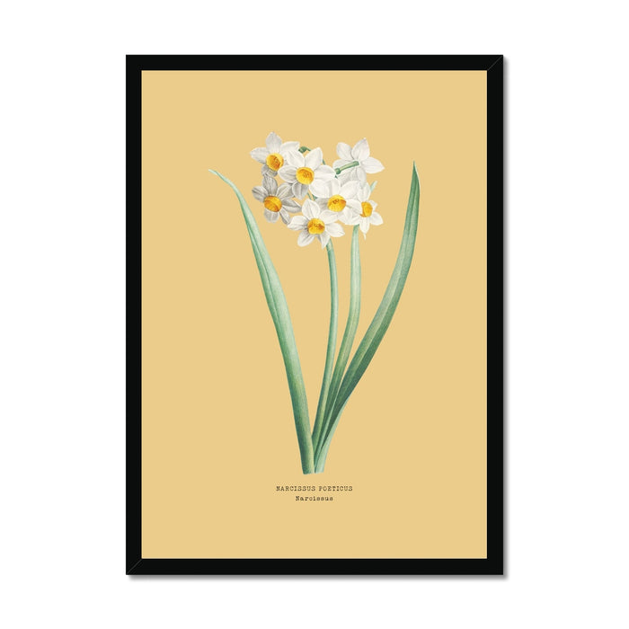Framed botanical print of a white flower with green leaves on a beige background