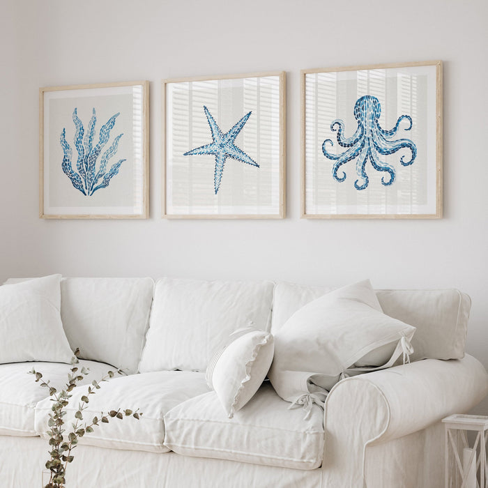 Three framed artworks of marine life on a wall above a white sofa.