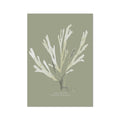 A framed art print of olive green seaweed on a neutral background, with the artist's signature at the bottom.