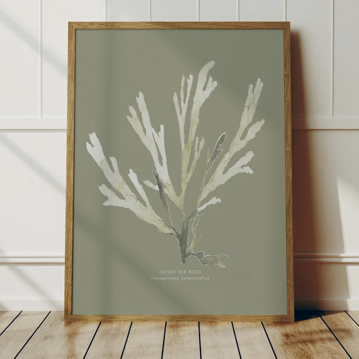 Olive green seaweed painting of a papery fan weed framed on the wall.