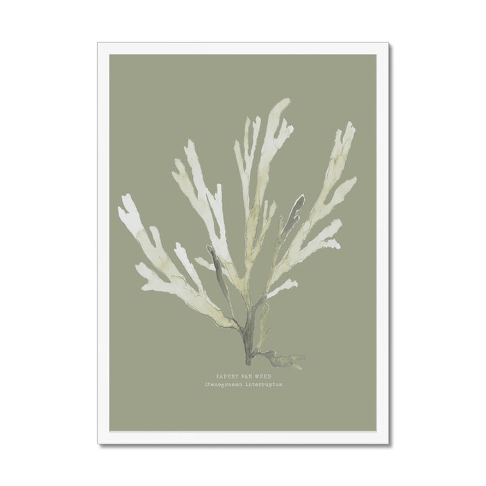 Framed art print of green seaweed against a olive green background, with a white frame.