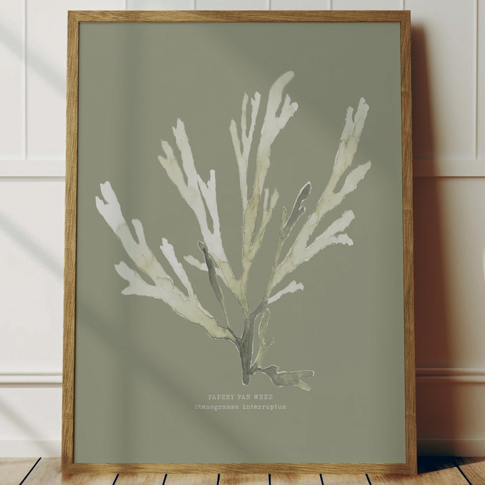 Olive green coloured seaweed print - framed seaweed art
