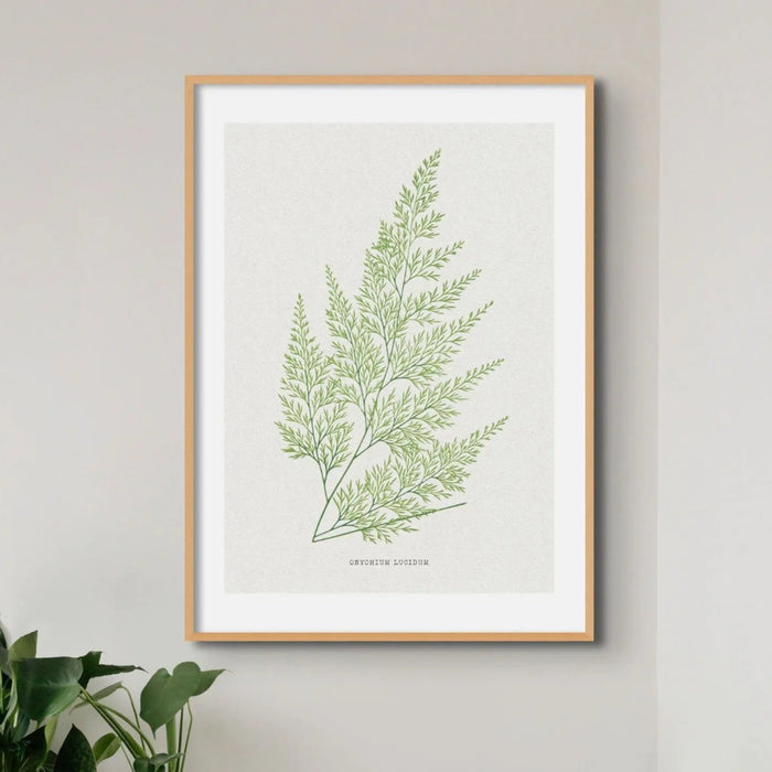 Framed vintage fern print of a detailed green fern illustration on a wall in living room