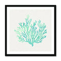 Opal Coral Art Print | Watercolour Shell Art - Framed Wall Art