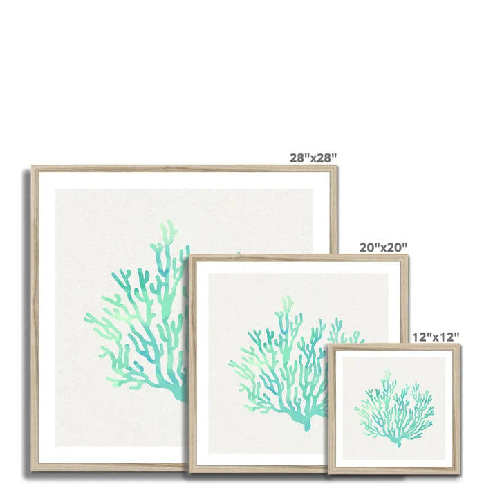 Opal Coral Art Print | Watercolour Shell Art - Framed Wall Art