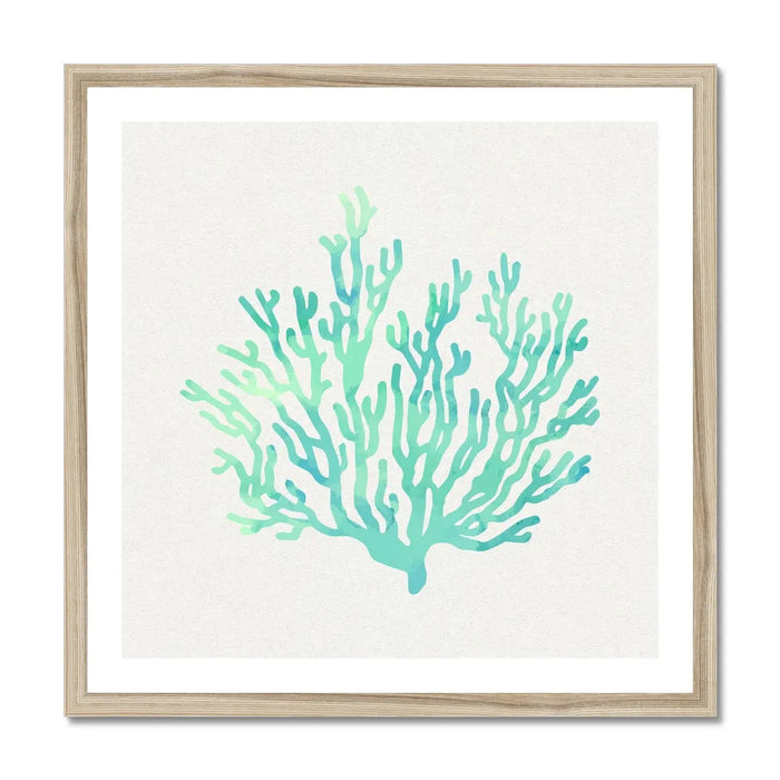 Opal Coral Art Print | Watercolour Shell Art - Framed Wall Art