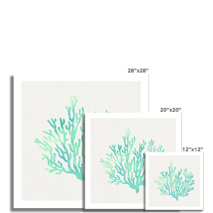 Opal Coral Art Print | Watercolour Shell Art Print - Unframed Wall Art