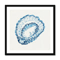 Framed artwork of a oyster shell on a white background